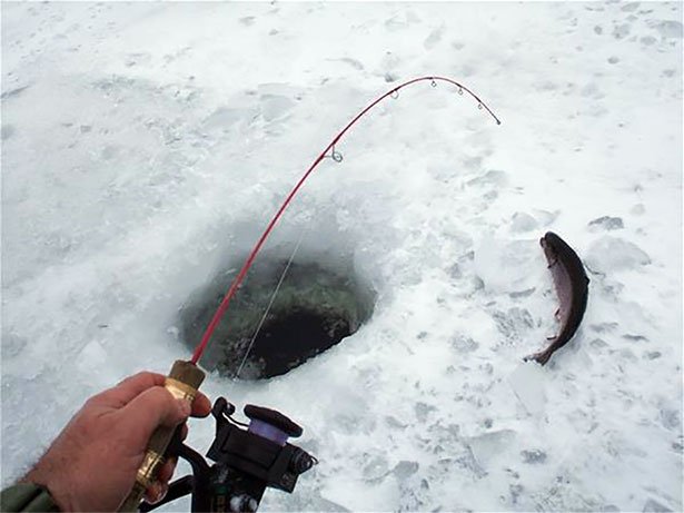 Experience the Thrill of Ice Fishing in the UK's Top Live Casinos