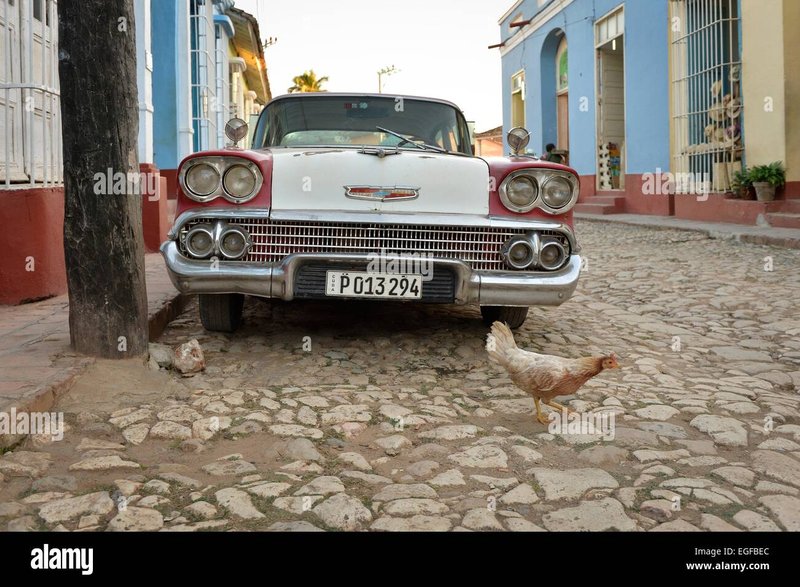 Explore chicken road online